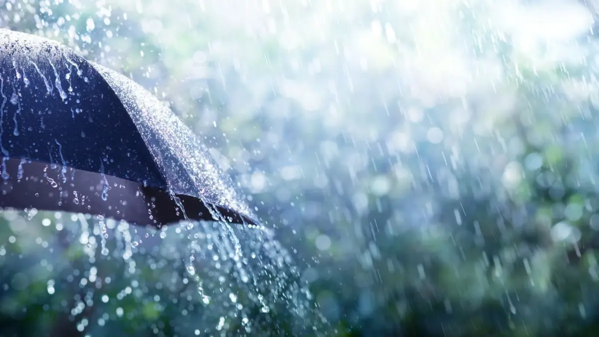 Aliste el paraguas, el Ideam da su pronóstico de lluvias para esta semana 3 Aliste el paraguas, el Ideam da su pronóstico de lluvias para esta semana El Ideam presentó su pronóstico de lluvias para esta semana, que estará bastante pasada por agua, al menos hasta el viernes.