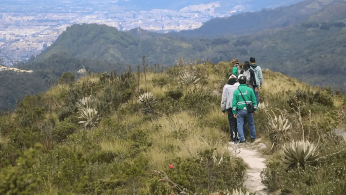 Conecte con la naturaleza y conozca Bogotá: caminatas gratis Las personas interesadas en respirar aire puro y conectar con la naturaleza a través de la caminata deberán inscribirse para poder asistir.