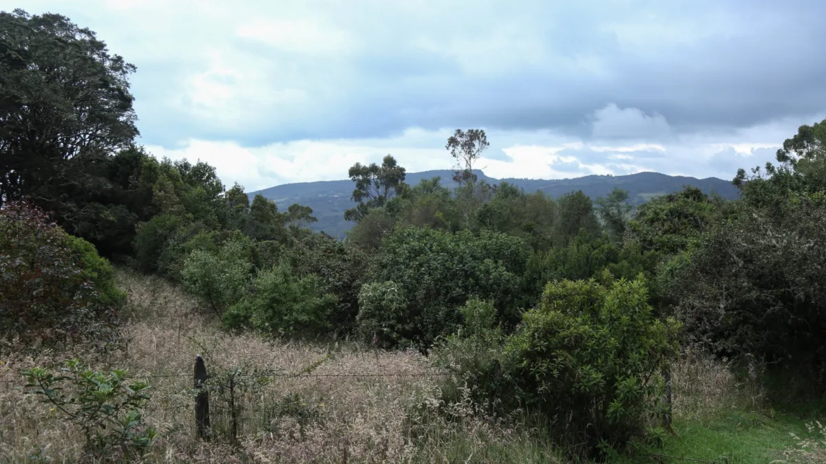 Cundinamarca: rescatan a dos turistas francesas en el páramo de Choachí Dos ciudadanas francesas permanecieron desaparecidas durante cerca de seis horas en el páramo ubicado entre Bogotá y el municipio de Choachí. Afortunadamente, lograron comunicarse y fueron localizadas por las autoridades antes de que ocurriera una tragedia.