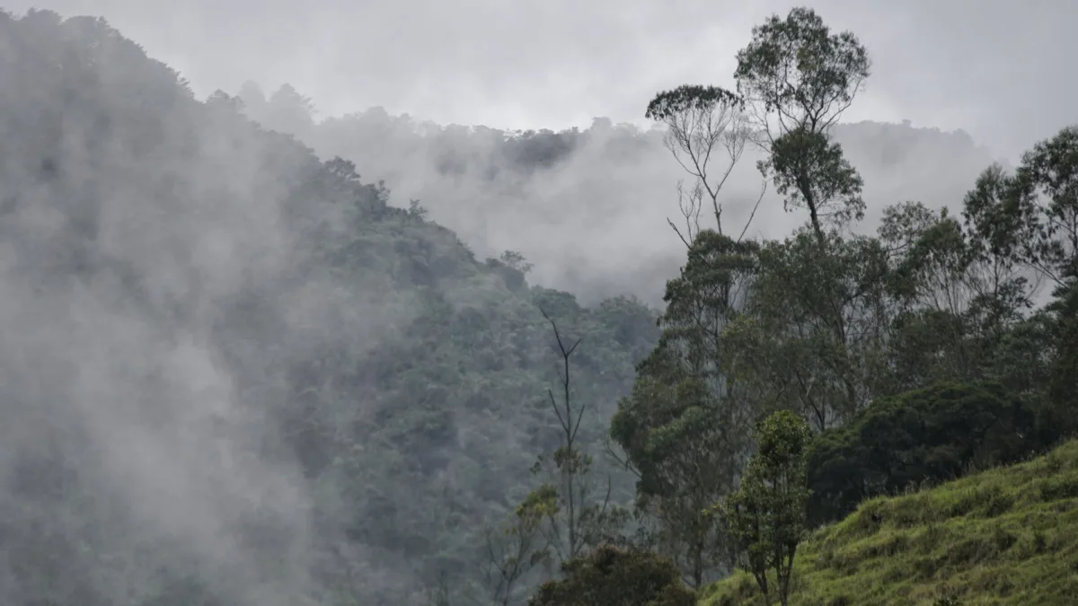 Cundinamarca: rescatan a dos turistas francesas en el páramo de Choachí Dos ciudadanas francesas permanecieron desaparecidas durante cerca de seis horas en el páramo ubicado entre Bogotá y el municipio de Choachí. Afortunadamente, lograron comunicarse y fueron localizadas por las autoridades antes de que ocurriera una tragedia.
