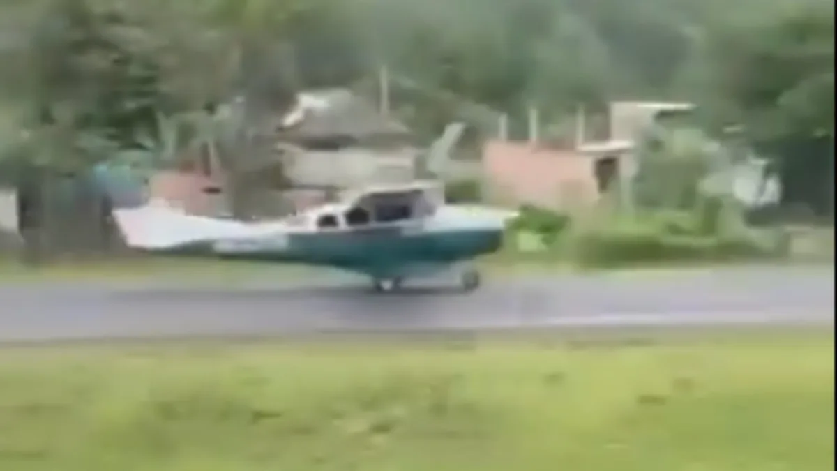 EN VIDEO Aterrizaje en Capurganá casi termina en tragedia por animales