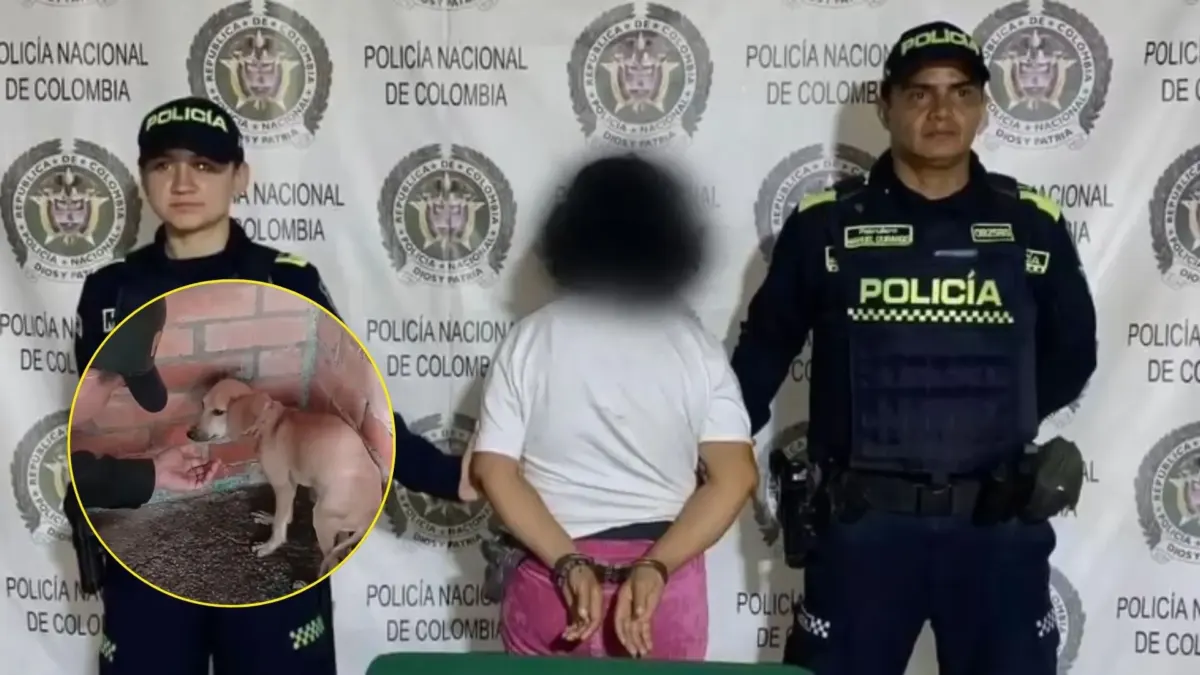 Capturan a mujer señalada de agredir a "Doki" en Girardot Los constantes lamentos de un canino en el barrio Gólgota, en Girardot, permitieron que las autoridades pusieran fin al sufrimiento de "Doki", un perro de raza criolla que era víctima de tratos crueles.
