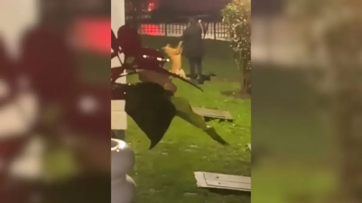 Engativá: menor de edad protagonizó video de maltrato animal a un perrito Un preocupante caso de maltrato animal generó consternación entre la comunidad del barrio Gran Granada, en la localidad de Engativá. En las imágenes se observa cómo el sujeto le propina varias patadas y golpes con un objeto a un perrito. El sospechoso habría resultado ser un menor de edad.