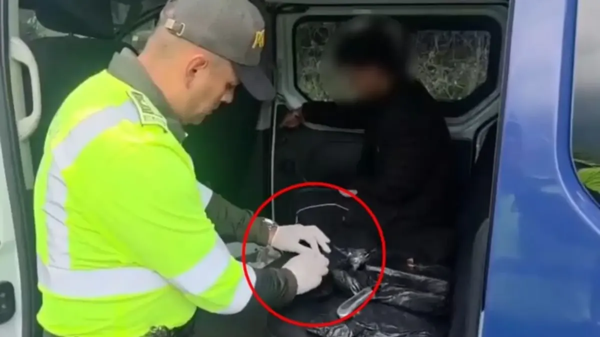 Fusagasugá: capturaron a hombre que llevaba droga fajada en una flota 2 Fusagasugá: capturaron a hombre que llevaba droga fajada en una flota Agentes de Policía de Fusagasugá se percataron de que el 'gordito' que le sobresalía al hombre que se movilizaba en una flota era inusual; cuando lo requisaron, se encontraron con que se había fajado un 'viaje' de droga con destino a la capital.