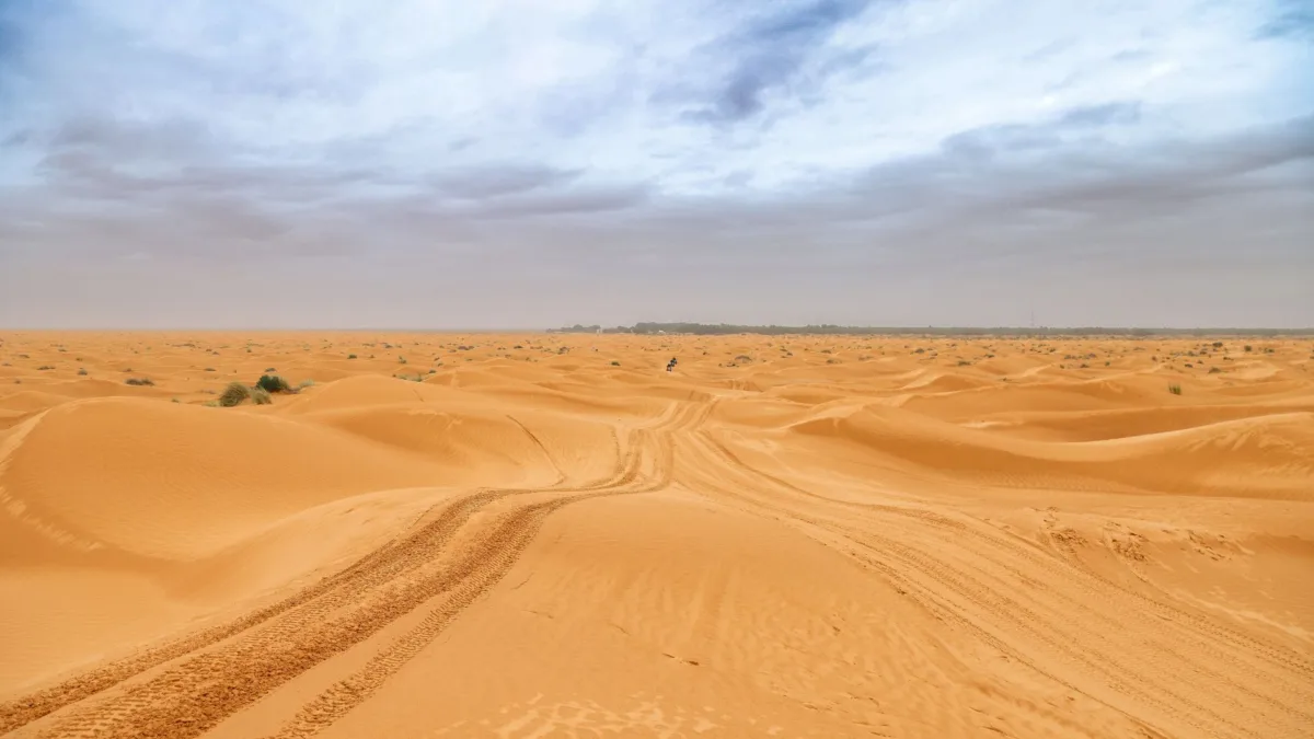 Ideam descarta afectaciones significativas en Colombia por polvo del Sahara 2 Ideam descarta afectaciones significativas en Colombia por polvo del Sahara El Instituto de Hidrología, Meteorología y Estudios Ambientales (Ideam) informó que, a través de un monitoreo permanente sobre las condiciones atmosféricas asociadas al transporte de polvo del Sahara hacia el Caribe, se descartan grandes afectaciones al territorio nacional.