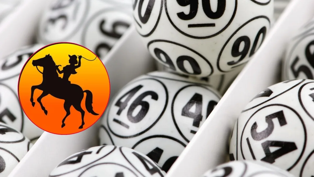 Lotería del Meta: estos son los resultados del 25 de febrero del 2026 Este miércoles 25 de febrero se realizó el sorteo de la Lotería del Meta. Le contamos cuáles fueron los resultados y el número ganador del premio mayor.