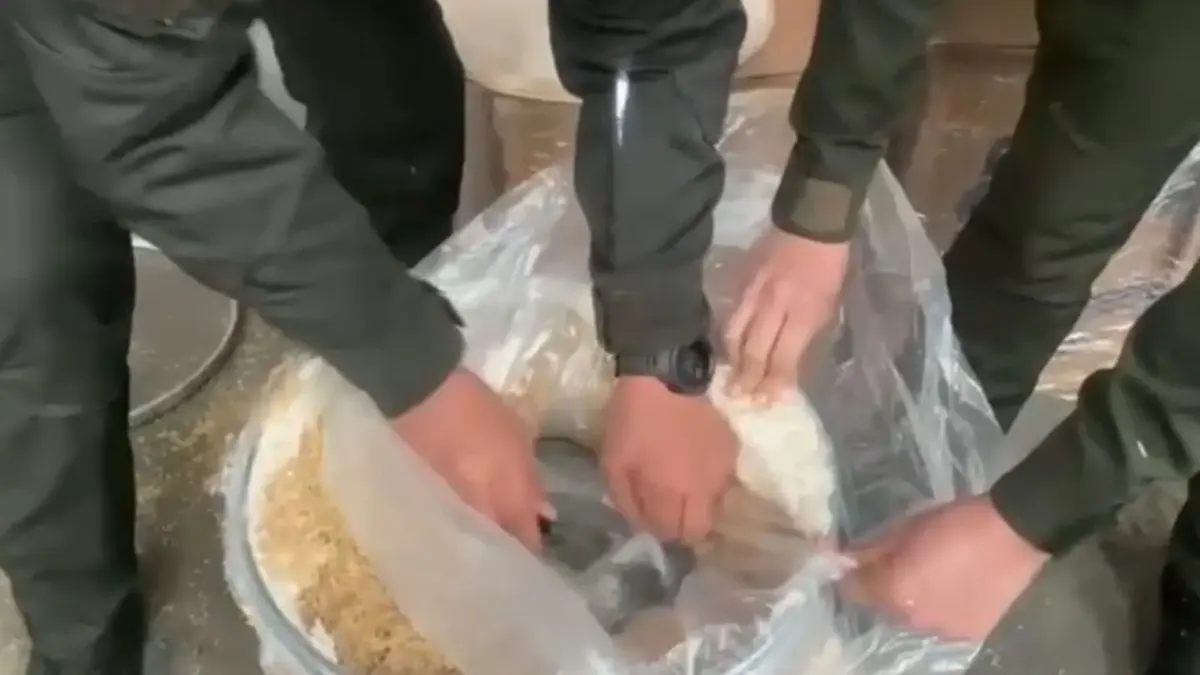 Mosquera: ‘Candy’, la perrita que combate el narcotráfico con su olfato La labor de ‘Candy’ ha permitido dar más de un golpe a las estructuras criminales del narcotráfico. En esta oportunidad descubrió una encomienda en Mosquera que contenía 57 kilos de marihuana.