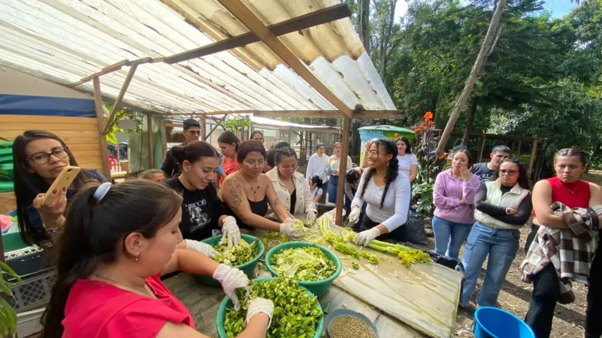 Polémica por orden de desalojo a santuario con 113 animales en Ecobarrio La Esmeralda 1 Polémica por orden de desalojo a santuario con 113 animales en Ecobarrio La Esmeralda El Distrito habría reconocido al Ecobarrio La Esmeralda, en la localidad de Teusaquillo, por su labor en la adopción y rehabilitación de pequeñas especies víctimas de maltrato o abandono y ahora, ellos mismos serían los que dejen en la calle a 113 animales, sin siquiera tener una orden judicial.