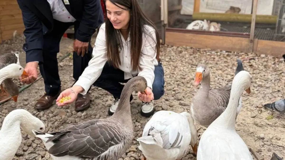 Polémica por orden de desalojo a santuario con 113 animales en Ecobarrio La Esmeralda 8 Polémica por orden de desalojo a santuario con 113 animales en Ecobarrio La Esmeralda El Distrito habría reconocido al Ecobarrio La Esmeralda, en la localidad de Teusaquillo, por su labor en la adopción y rehabilitación de pequeñas especies víctimas de maltrato o abandono y ahora, ellos mismos serían los que dejen en la calle a 113 animales, sin siquiera tener una orden judicial.