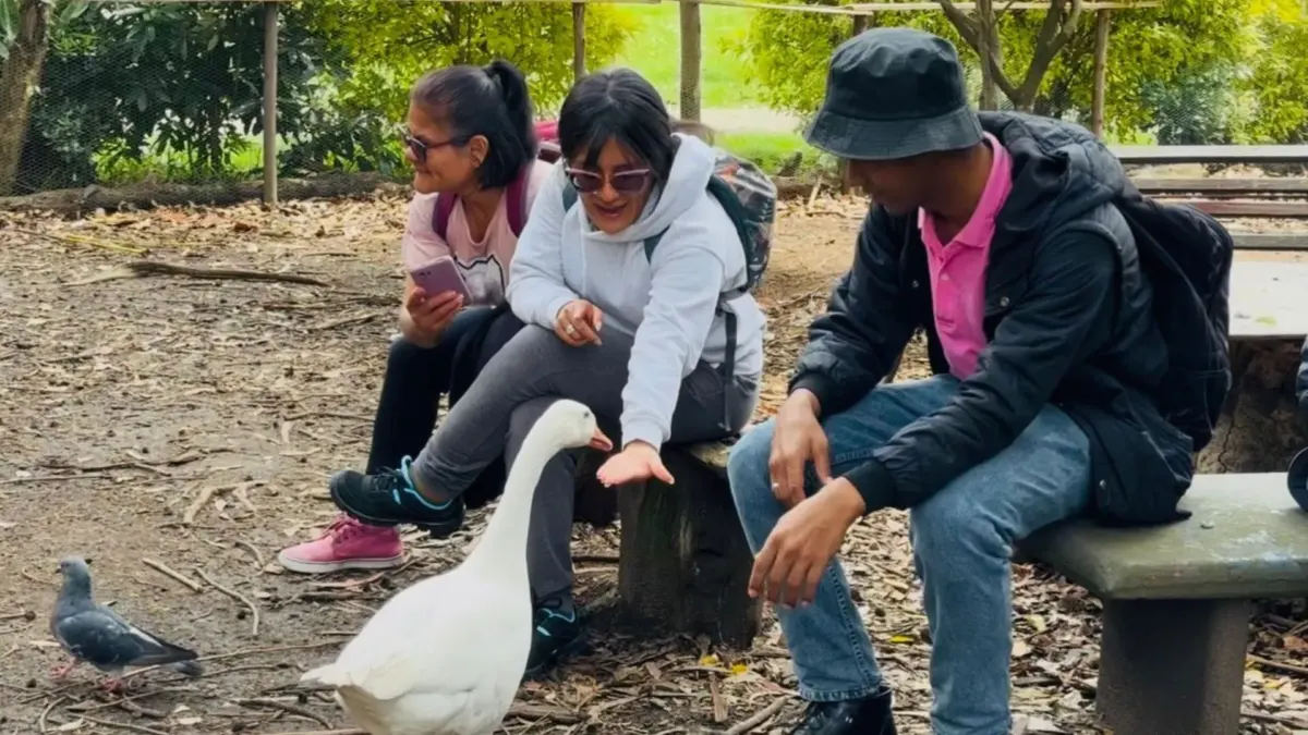 Polémica por orden de desalojo a santuario con 113 animales en Ecobarrio La Esmeralda 2 Polémica por orden de desalojo a santuario con 113 animales en Ecobarrio La Esmeralda El Distrito habría reconocido al Ecobarrio La Esmeralda, en la localidad de Teusaquillo, por su labor en la adopción y rehabilitación de pequeñas especies víctimas de maltrato o abandono y ahora, ellos mismos serían los que dejen en la calle a 113 animales, sin siquiera tener una orden judicial.