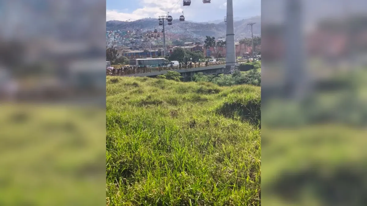 Tunjuelito: macabro hallazgo de un hombre en el río 1 Tunjuelito: macabro hallazgo de un hombre en el río El cuerpo sin vida de un hombre fue hallado a un costado del río Tunjuelito, en una zona boscosa y poco transitada de la localidad. El macabro descubrimiento generó alarma entre residentes y transeúntes, quienes dieron aviso inmediato a las autoridades.