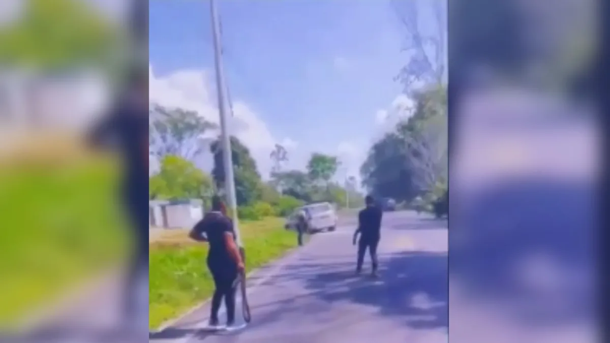 Video: brutal atentado contra el esquema de seguridad del senador Jairo Castellanos 1 Video: brutal atentado contra el esquema de seguridad del senador Jairo Castellanos El equipo de trabajo del senador Jairo Castellanos reveló la existencia de un video que evidencia la crudeza del ataque armado contra el vehículo en el que se desplazaban sus escoltas, hecho en el que dos de ellos habrían perdido la vida.