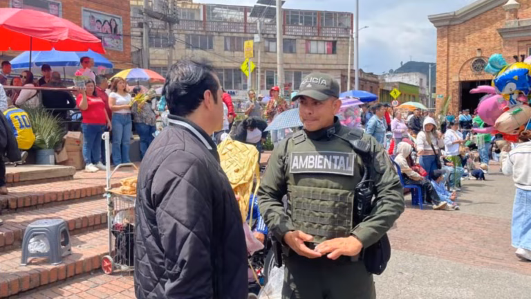 Domingo de Ramos: Policía incauta más de 140 kilos de palma