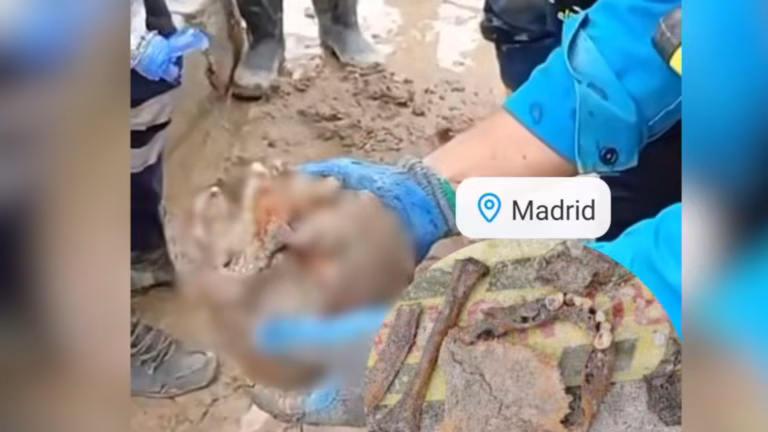 Madrid: encuentran restos óseos humanos en plena obra pública