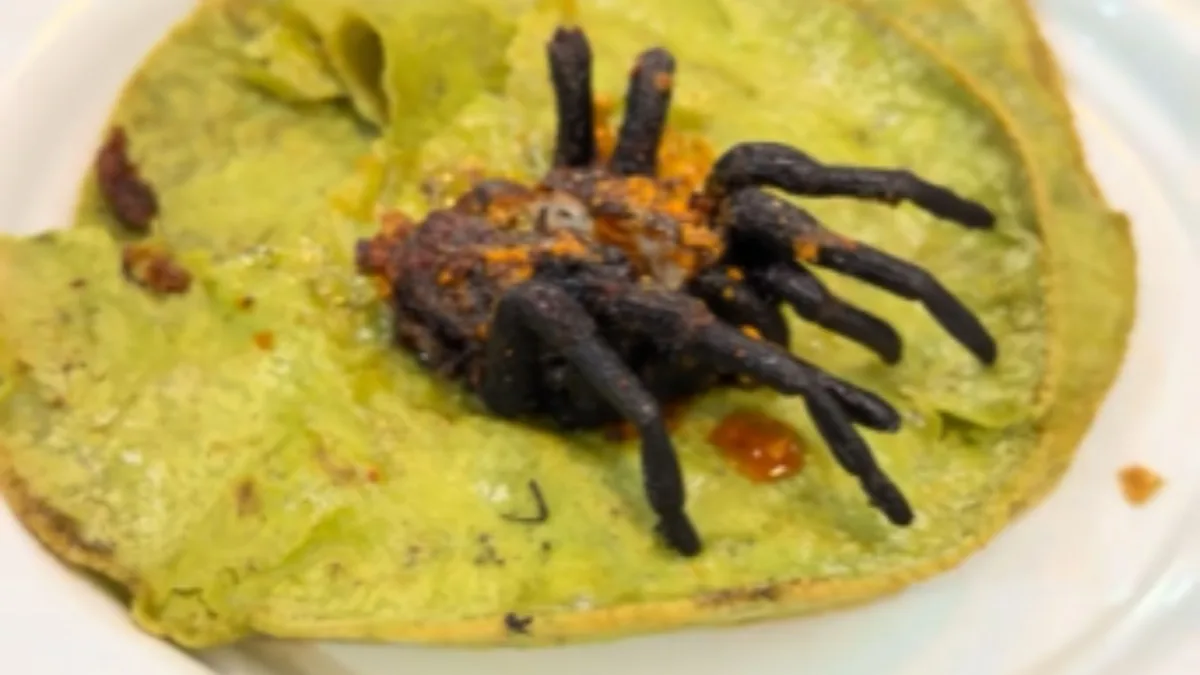 ¿Se comería un taco de tarántula? Joven lo hizo y se le incrustaron los pelos 1 ¿Se comería un taco de tarántula? Joven lo hizo y se le incrustaron los pelos Una joven fue a un mercado y probó unos tacos de tarántula. Después del primer bocado se le incrustaron los pelos del animal en el cachete y se le durmió la zona.