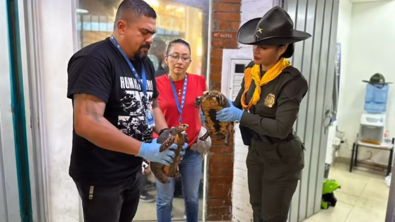 Policia salva del calvario a la fauna